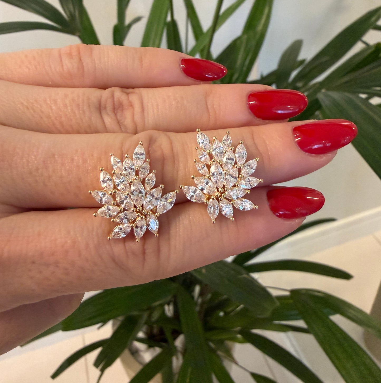 Brinco Ear cuff Nevetes
