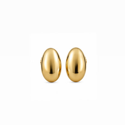 Brinco Argola Oval Bicolor